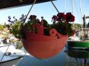 Creative Flower Pot Made from Fishing Float - Bamfield Inlet